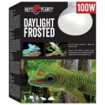 Terariumų lemputė Repti Planet Daylight Frosted, 100 W