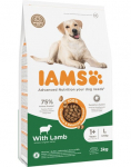 Sausas &scaron;unų maistas IAMS Vitality Adult Large, ėriena, 3 kg