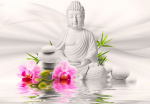 Fototapetas Artgeist Buddha And Orchids, 70 cm x 70 cm