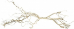 Akvariumo dekoracija Terra Natura Root Weirwood, &scaron;viesiai ruda sp., 15 cm
