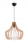 &Scaron;viestuvas kabinamas Reality Wood R30253830, E27, 1 x 60 W, ruda sp.