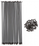 Stipinai BSD B9bLtJqzEijq, nerūdijantysis plienas, nerūdijančiojo plieno sp., 40 vnt.