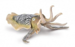 Žaislinė figūrėlė Collecta Oceans & Ice Common Cuttlefish 80009, 10.4 cm, ruda sp.