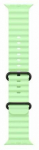 Laikrodžio dirželis Apple The Ocean Band, žalia