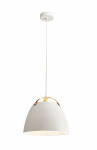 &Scaron;viestuvas lubų Domoletti Trent 2021391M-WH, E27, 1 x 40 W, balta sp.