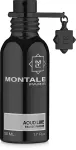 Kvapusis vanduo Montale Paris Aoud Lime, 50 ml