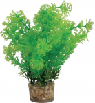 Akvariumo dekoracija Zolux 353755, įvairios