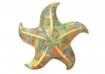 Pliu&scaron;inis žaislas jūrų žvaigždė Pillow, žalia sp., 20 cm