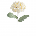 Dirbtinė gėlė Flore 845, kreminė sp., 61 cm x 20 cm