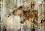 Fototapetas Artgeist Unbridled Beauty, 70 cm x 100 cm