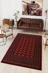 Kilimas Conceptum Hypnose W1122, įvairių spalvų, 220 cm x 140 cm