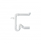 Sifonas plautuvei Franke, 50 mm, balta sp.