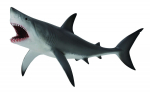 Žaislinė figūrėlė Collecta Great White Shark 88729, 19 cm, balta sp./pilka sp.