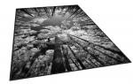 Kilimas vidaus Conceptum Hypnose ELS1902, juoda sp./pilka sp., 230 cm x 160 cm