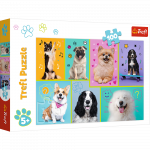 Dėlionė Trefl Dogs world 16421, 41 cm x 27.5 cm, 100 vnt., įvairių spalvų