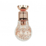 &Scaron;viestuvas lubų Britop Bulb 2820113, E27, 1 x 60 W, skaidri sp.
