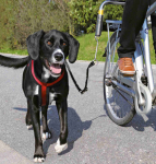 &Scaron;uns pavadėlis Trixie Dog Biker, juoda sp.