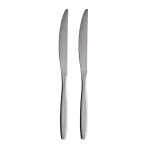 Peilis Domoletti DOMOLETTI WIND CTEC2WI/CR, nerūdijantysis plienas, nerūdijančiojo plieno sp., 2 vnt., 24 cm