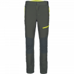 Darbo kelnės vyrams Cerva L-Sure Elias, žalia sp., XS dydis