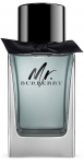 Tualetinis vanduo Burberry Mr. Burberry, 100 ml