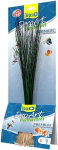 Akvariumo dekoracija Tetra
