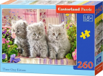 Dėlionė Castorland Three Grey Kittens 260 el. B-027491, 23 cm x 32 cm, 260 vnt., įvairių spalvų