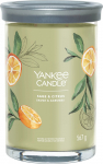 Žvakė, aromatinė Yankee Candle Signature Sage & Citrus, 60 - 100 h, 567 g, Žalia