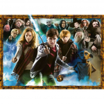 Dėlionė Ravensburger The Sorcerer'S Apprentice Harry Potter, 50 cm x 70 cm, 1000 vnt.