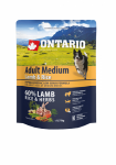 Sausas &scaron;unų maistas Ontario Adult Medium Lamb and Rice, ėriena, 0.75 kg