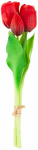 Dirbtinių gėlių puok&scaron;tė, tulpė, raudona sp./žalia sp., 29 cm