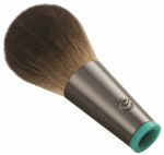 Aplikatorius Ecotools Intercgangeables