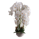 Dirbtinė gėlė vazone, orchidėja Home4you Garden Queen, balta sp., 102 cm