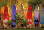 Fototapetas Komar Maui 8-902, 368 cm x 254 cm