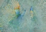 Fototapetas Artgeist Peacocks Dancing, 70 cm x 100 cm