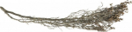 Akvariumo dekoracija Terra Natura Underwater Root, ruda, 20 cm