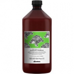 &Scaron;ampūnas Davines NaturalTech Renewing, 100 ml