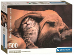 Dėlionė Clementoni Cuddles 35583, 36 cm x 49 cm, 500 vnt., įvairių spalvų