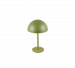 Stalinis &scaron;viestuvas Reality Munoz, LED, 1.3W, žalia sp.