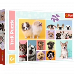 Dėlionė Trefl Dog Friendship 14331, 27.5 cm x 41 cm, 160 vnt., įvairių spalvų