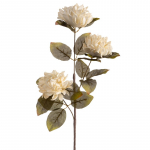 Dirbtinė gėlė Flore 837, kreminė sp., 67 cm x 12 cm