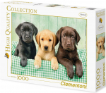 Dėlionė Clementoni Three Labs 39279, 69 cm x 50 cm, 1000 vnt., įvairių spalvų
