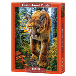 Dėlionė Castorland Mountain Lion In The Forest, 68 cm x 47 cm, 1500 vnt., įvairių spalvų