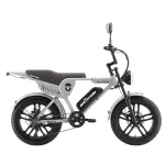 Elektrinis dviratis Ape Ryder Genon Ultra, L, 20", 250 W, 15 Ah, pilka sp.