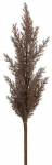 Dirbtinė &scaron;akelė Natu 304, ruda sp., 77 cm