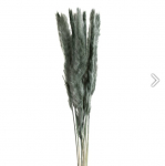 Dirbtinė &scaron;akelė Natura Flower Decor, žalia sp., 75 cm