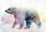 Fototapetas Artgeist Lonely Bear, 70 cm x 100 cm