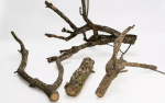 Akvariumo dekoracija Terra Natura Oak Branch, ruda sp., 60 cm