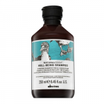 &Scaron;ampūnas Davines NaturalTech Well Being, 250 ml