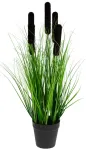 Dirbtinis augalas vazone, juoda sp./žalia sp., 48 cm x 9.5 cm