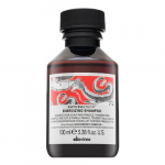 &Scaron;ampūnas Davines NaturalTech Energizing, 100 ml